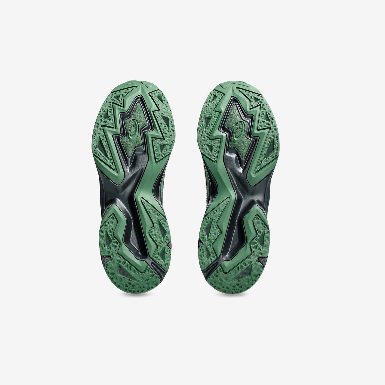 Protoblast-CMLVIII x OTTO958 | 1203A643-020