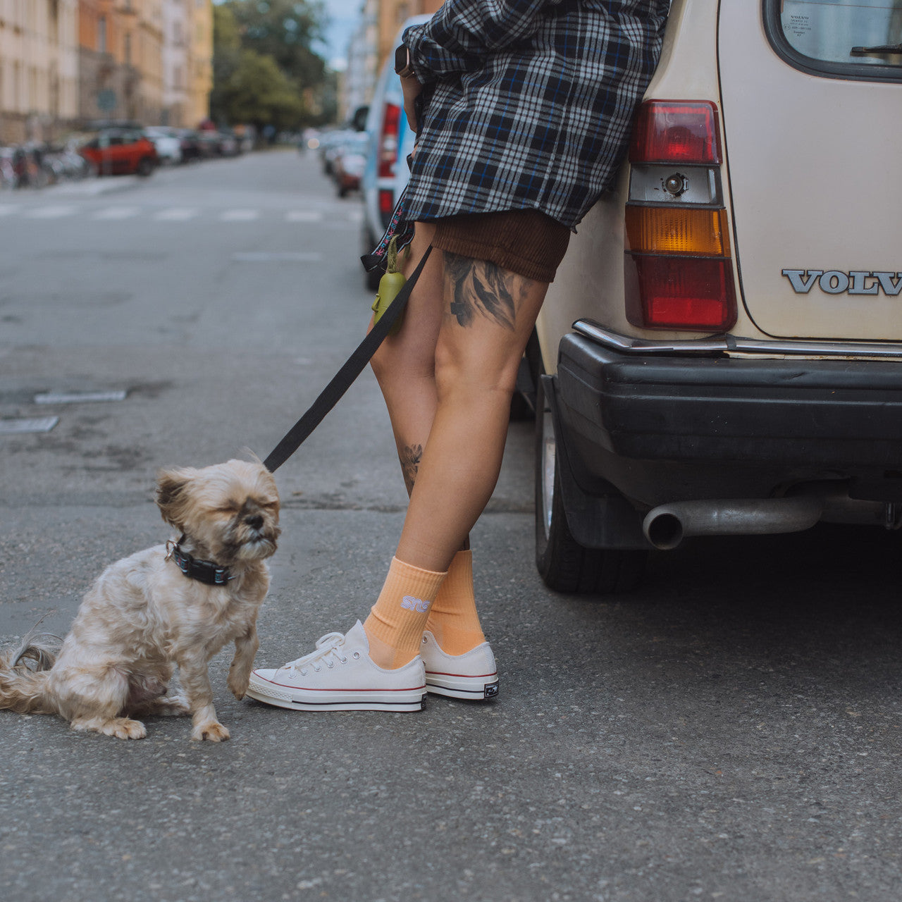 Chuck Taylor 70 Ox | 162062C