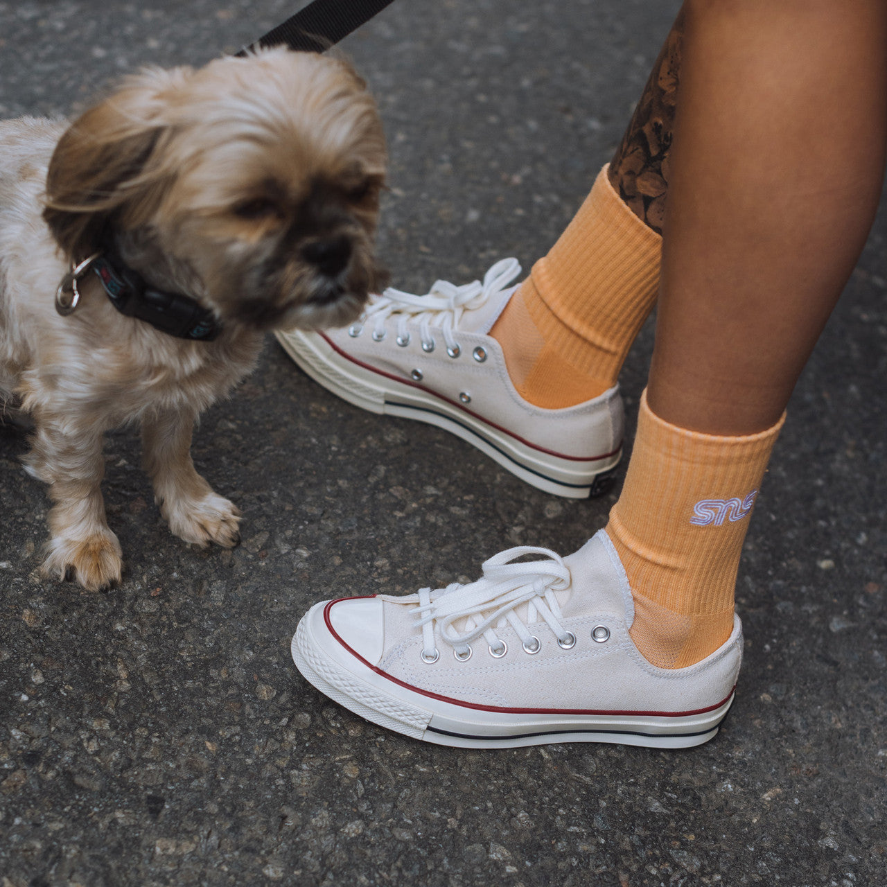 Chuck Taylor 70 Ox | 162062C