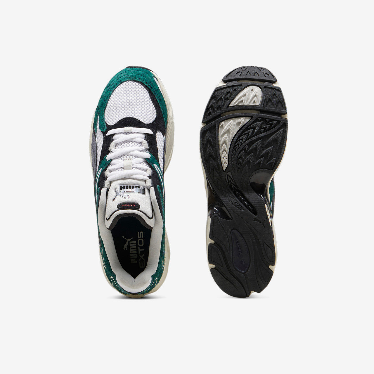 Extos Collector | 398109-01