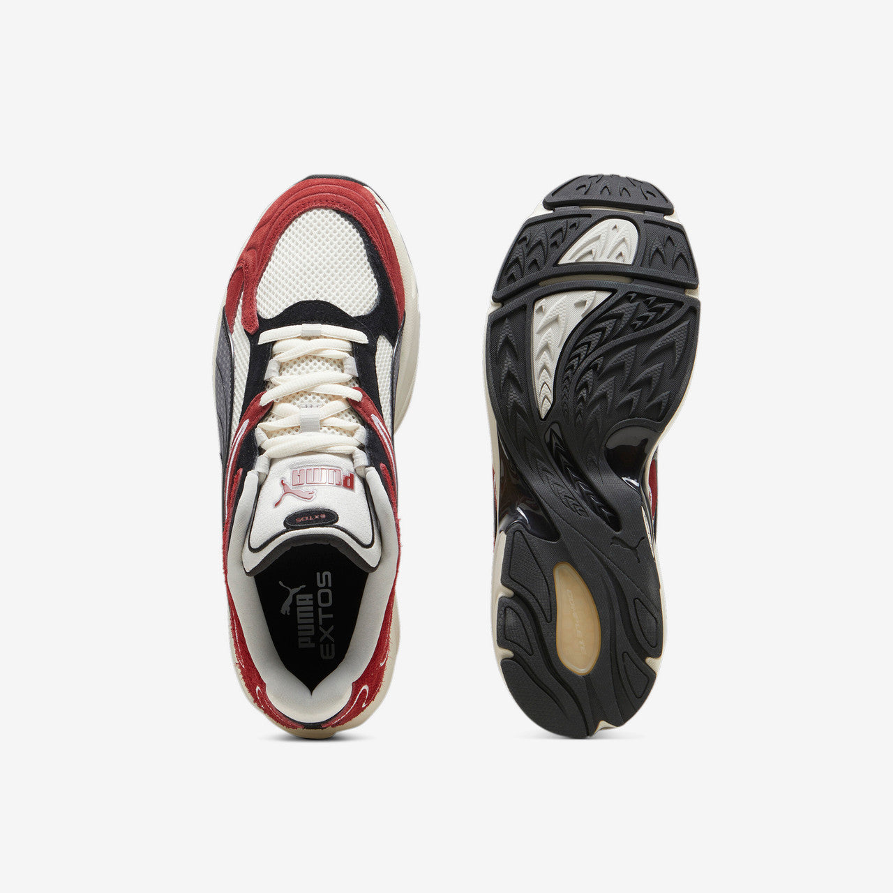 Extos Collector | 398109-02