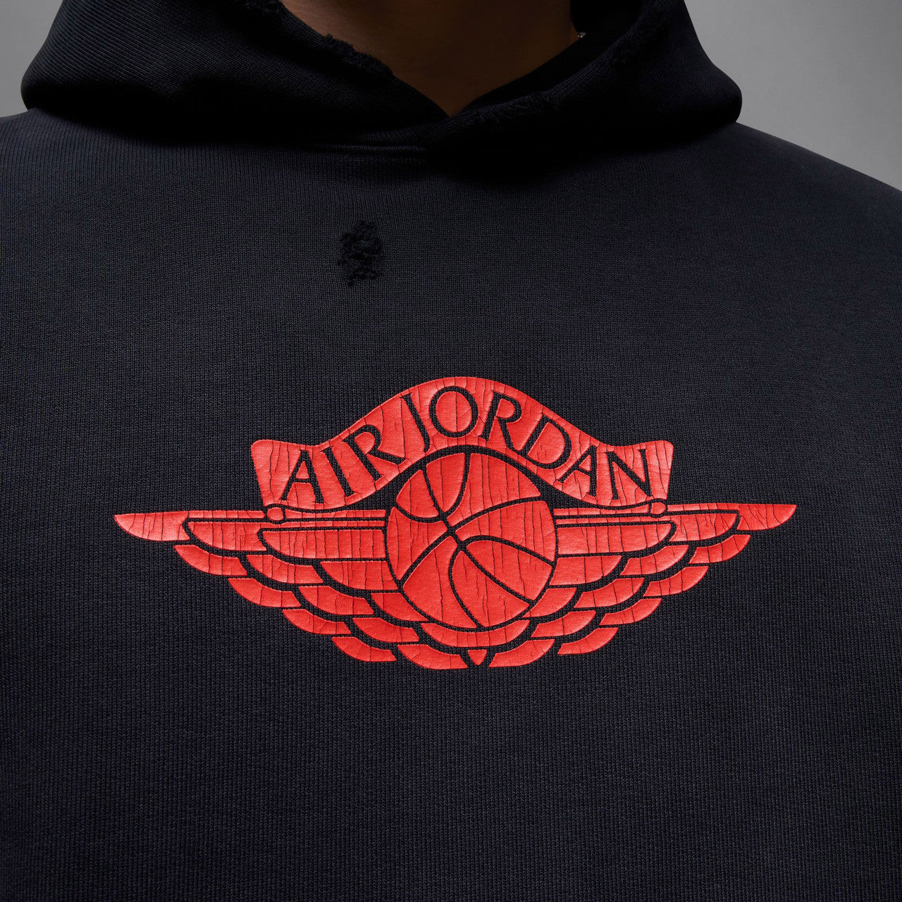 Rare Air Fleece Pullover Hoodie | IB3003-010