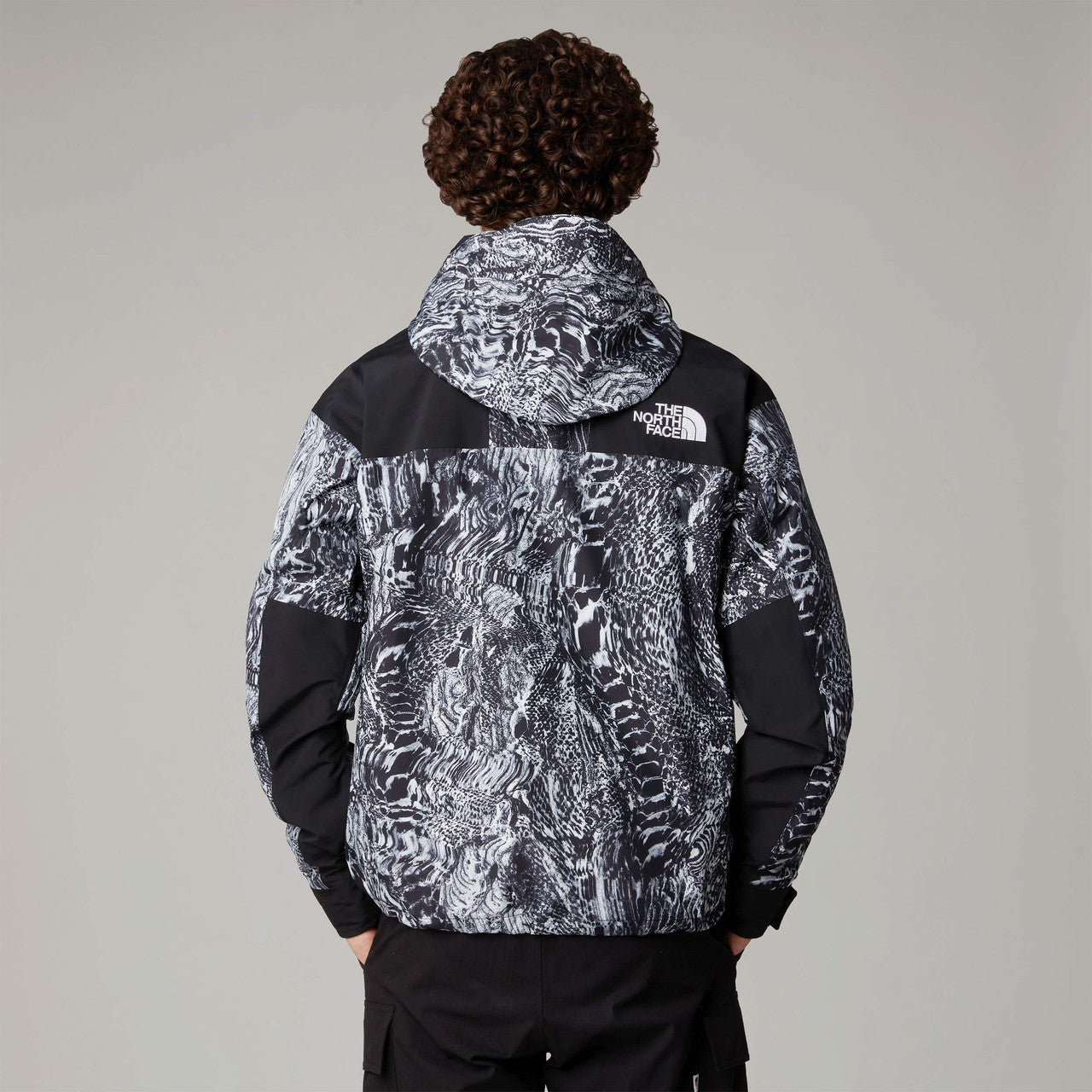 GTX Mountain Jacket | NF0A831M8R51