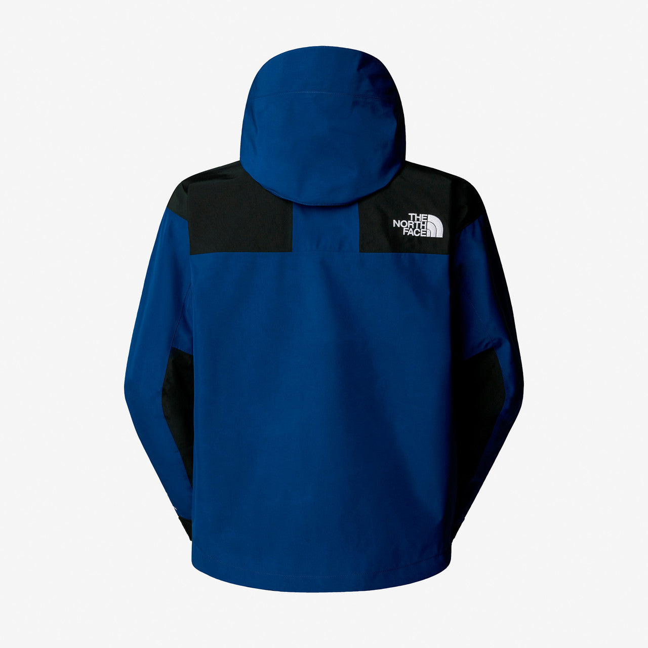 GTX Mountain Jacket | NF0A831MF1T1